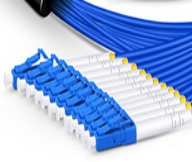 تخصيص 12 ألياف LCSCFCST 9125 وضع واحد 3.0 مم كابل داخلي اندلاع متعدد الألياف المدرعة داخلي 596.png