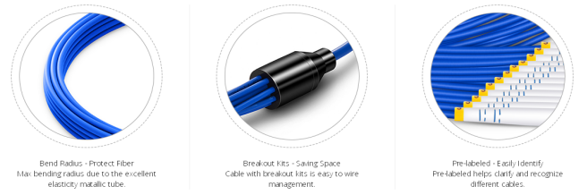تخصيص 12 ليفات LCSCFCST 9125 وضع واحد 3.0 مم داخلي الكوابل متعددة الألياف المخترقة Cable2157.png